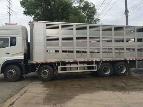 遼陽畜禽運(yùn)輸車廠家——專業(yè)畜禽運(yùn)輸車制造商